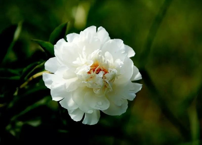 20190305155177667493.png blob.png